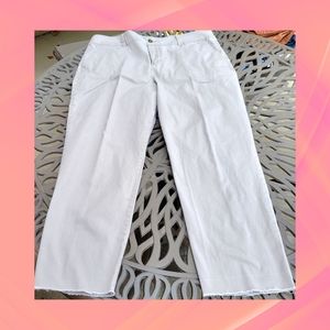 Caffe Marrakesh Cropped Pants